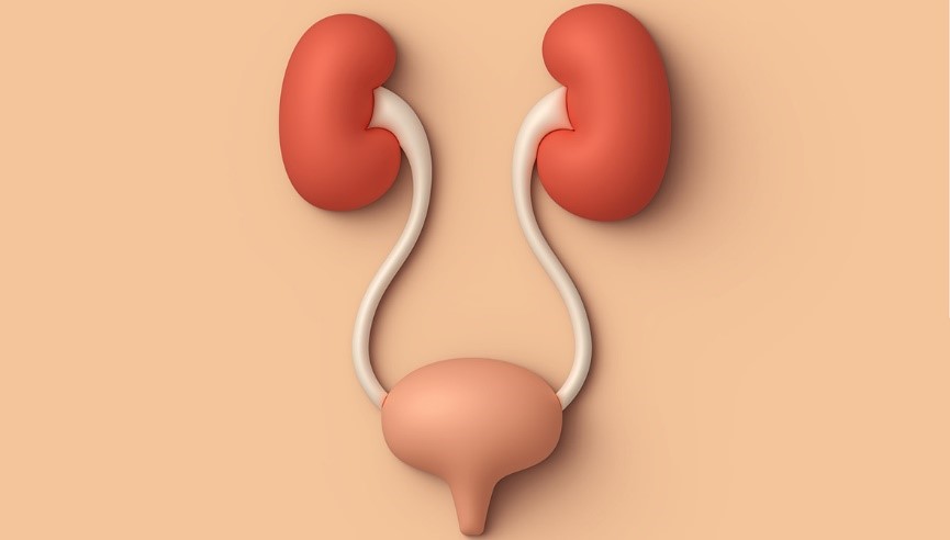 علل پارگی مثانه
