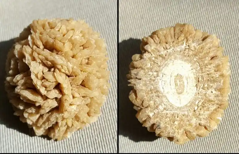 سنگ کلیه رسوبی